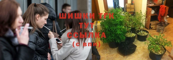 ECSTASY Богородск