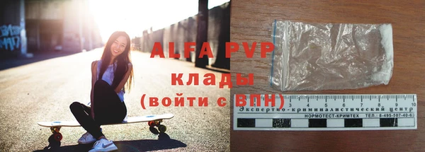 амф Бородино