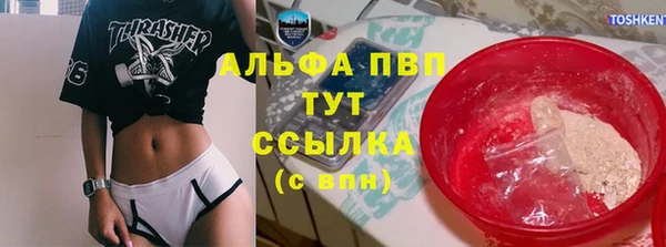 амф Богородицк