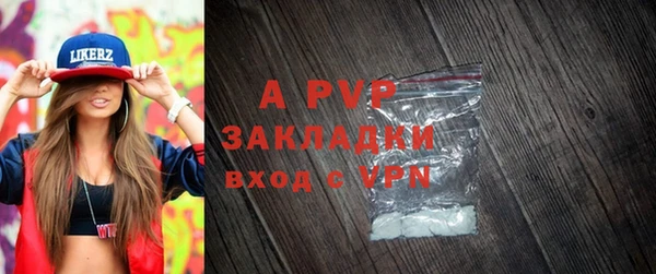 амф Богородицк