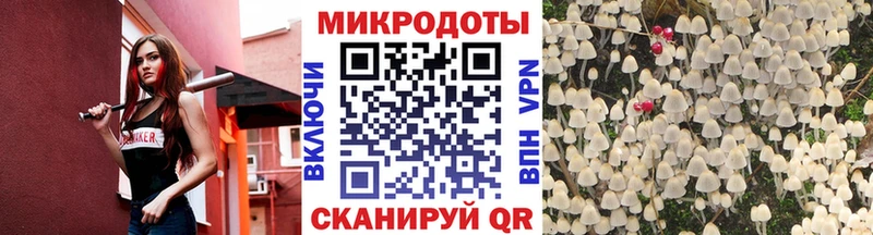Купить Ревда Псилоцибиновые грибы Cubensis